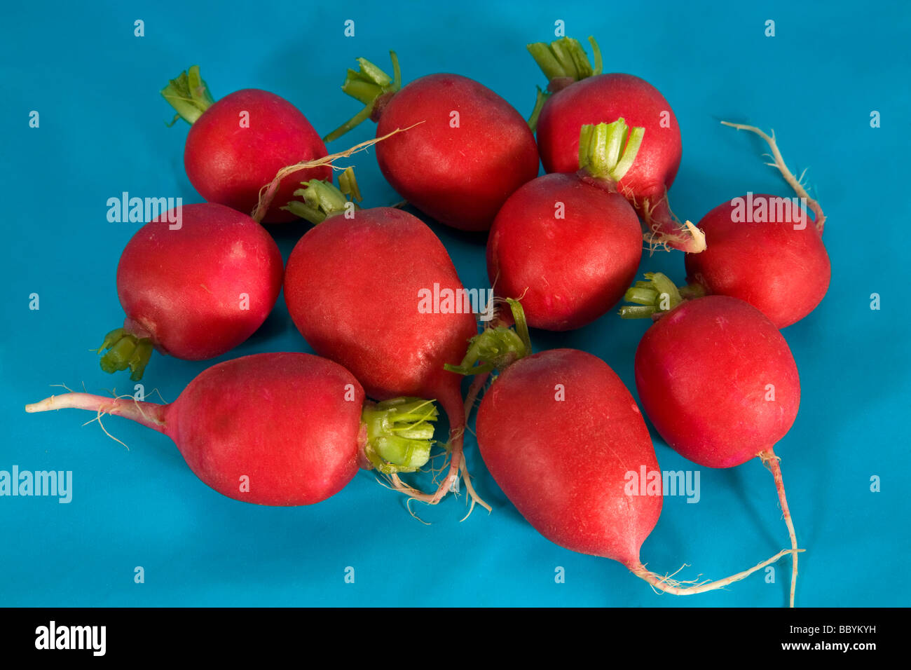 Un mazzetto di ravanelli rossi da un negozio di alimentari o super mercato. Foto Stock
