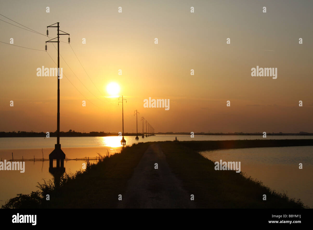 Tramonto e stagliano i cavi di alimentazione dai piloni, fornendo albarella island, Italia Foto Stock