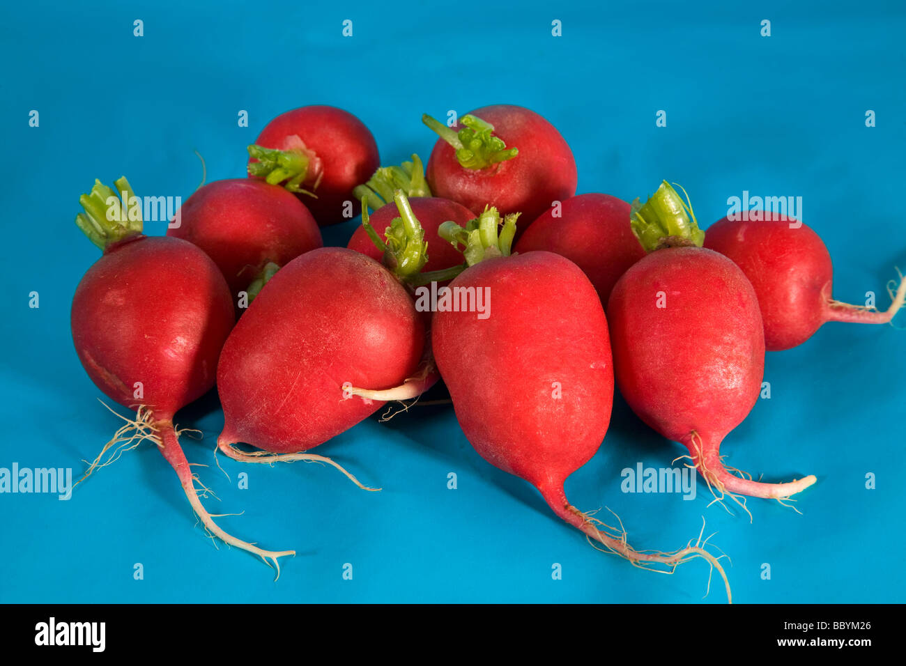 Un mazzetto di ravanelli rossi da un negozio di alimentari o super mercato. Foto Stock