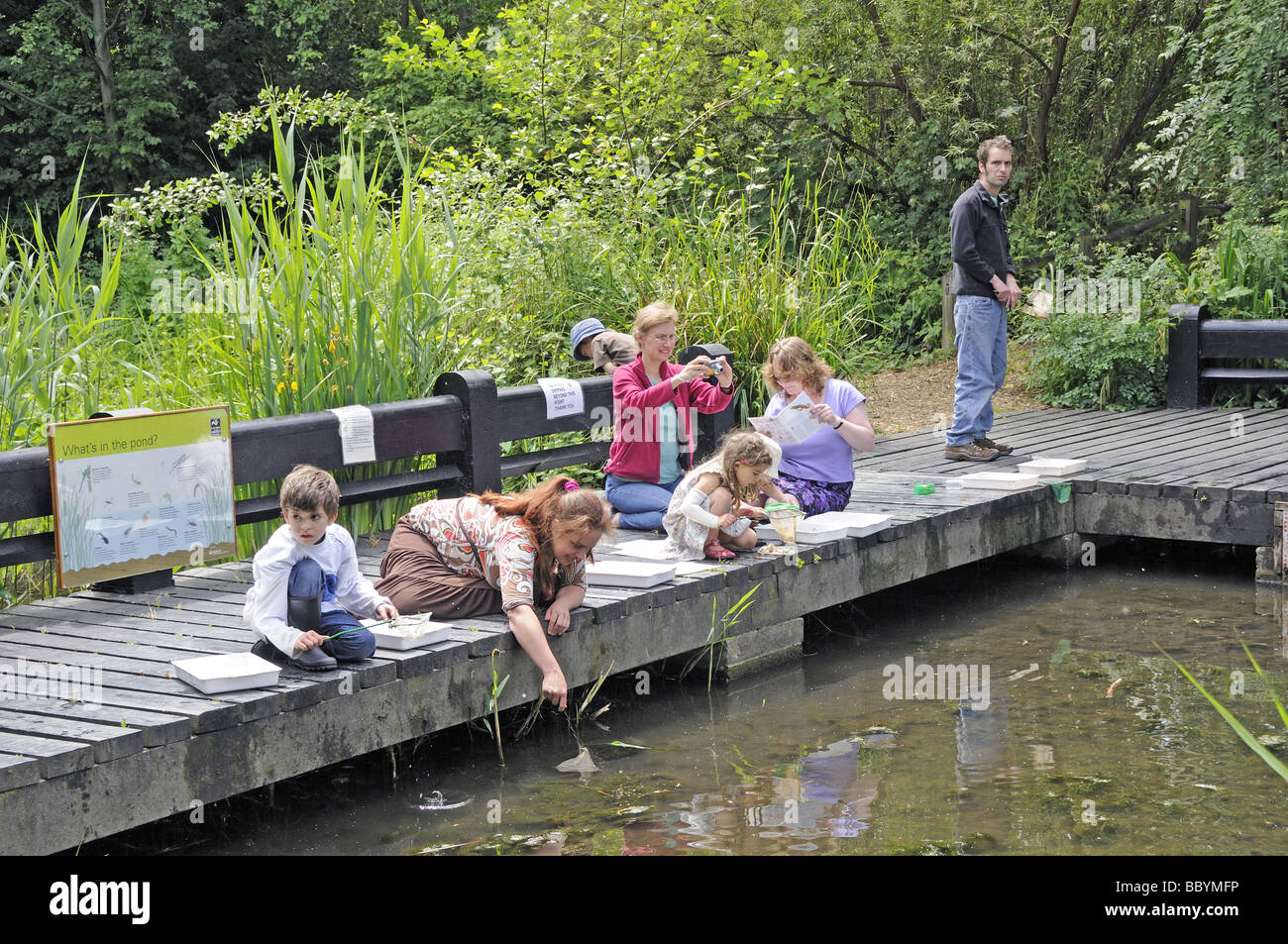 Famiglie pond dipping Camley Street Parco Naturale di Kings Cross Camden Londra Inghilterra REGNO UNITO Foto Stock