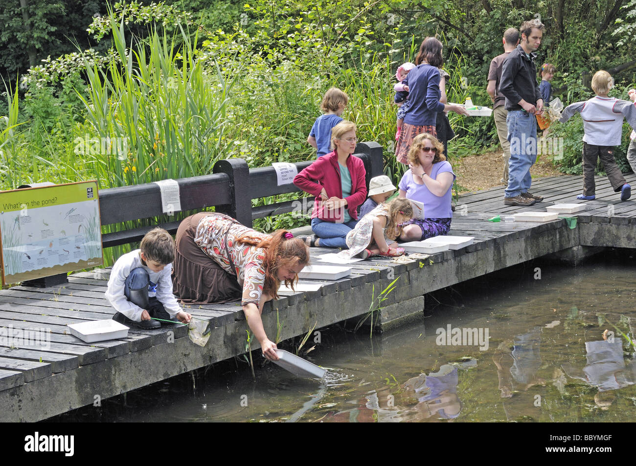 Famiglie pond dipping Camley Street Parco Naturale di King Cross Camden Londra Inghilterra REGNO UNITO Foto Stock