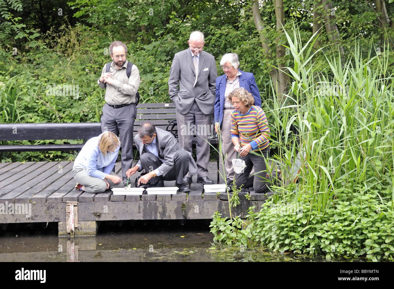 Adulti pond dipping Camley Street Parco Naturale di King Cross Camden Londra Inghilterra REGNO UNITO Foto Stock