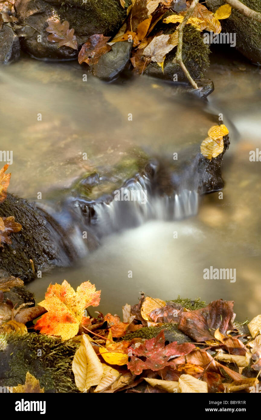 La montagna bella cascata in autunno Foto Stock