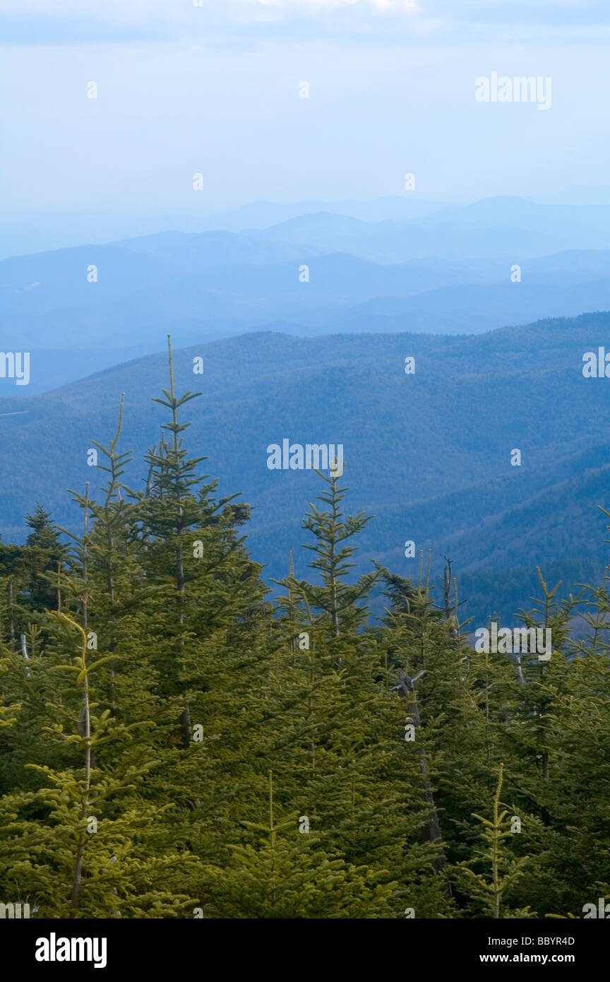Bella vista sulle montagne, il Parco Nazionale di Great Smoky Mountains Foto Stock