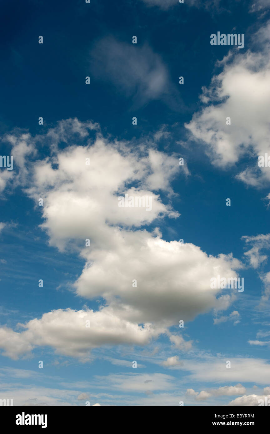 White cumulus nubi in un cielo blu Foto Stock