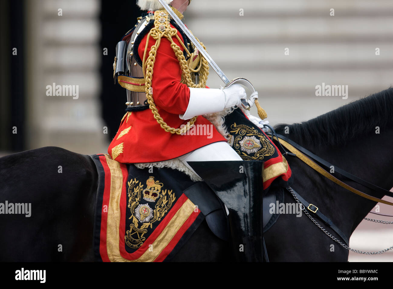 Un ufficiale della guardia reggimento a cavallo durante il Trooping della cerimonia di colori per celebrare la regina il compleanno Foto Stock