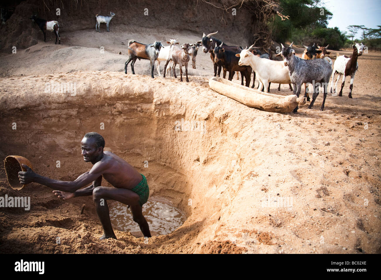 Un vecchio Hamer uomo scava un buco nel letto asciutto del fiume per accedere all acqua fangosa per le sue capre. Foto Stock