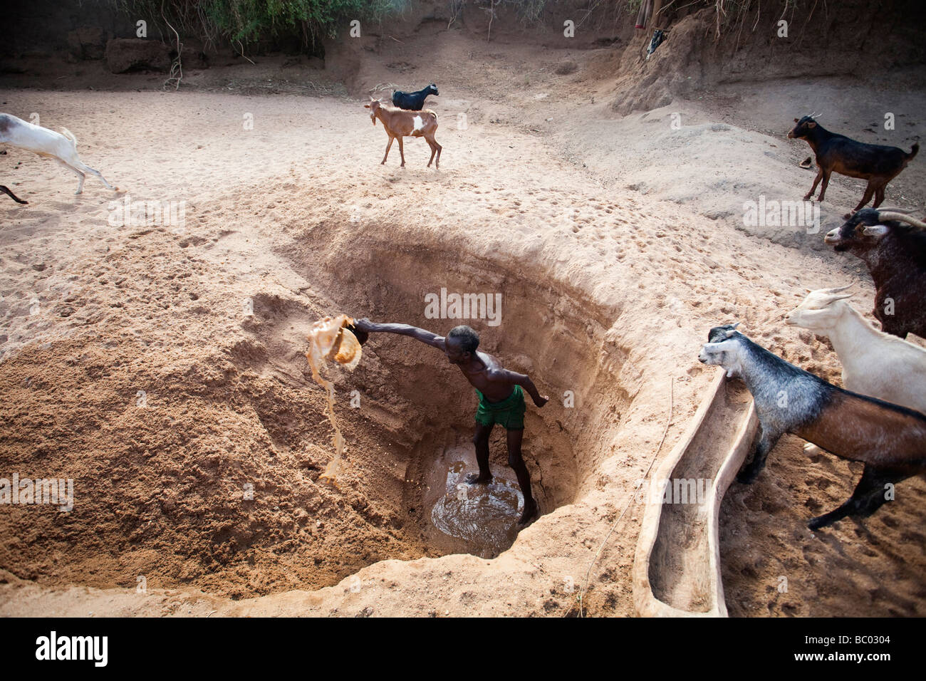 Un vecchio Hamer uomo scava un buco nel letto asciutto del fiume per accedere all acqua fangosa per le sue capre. Foto Stock