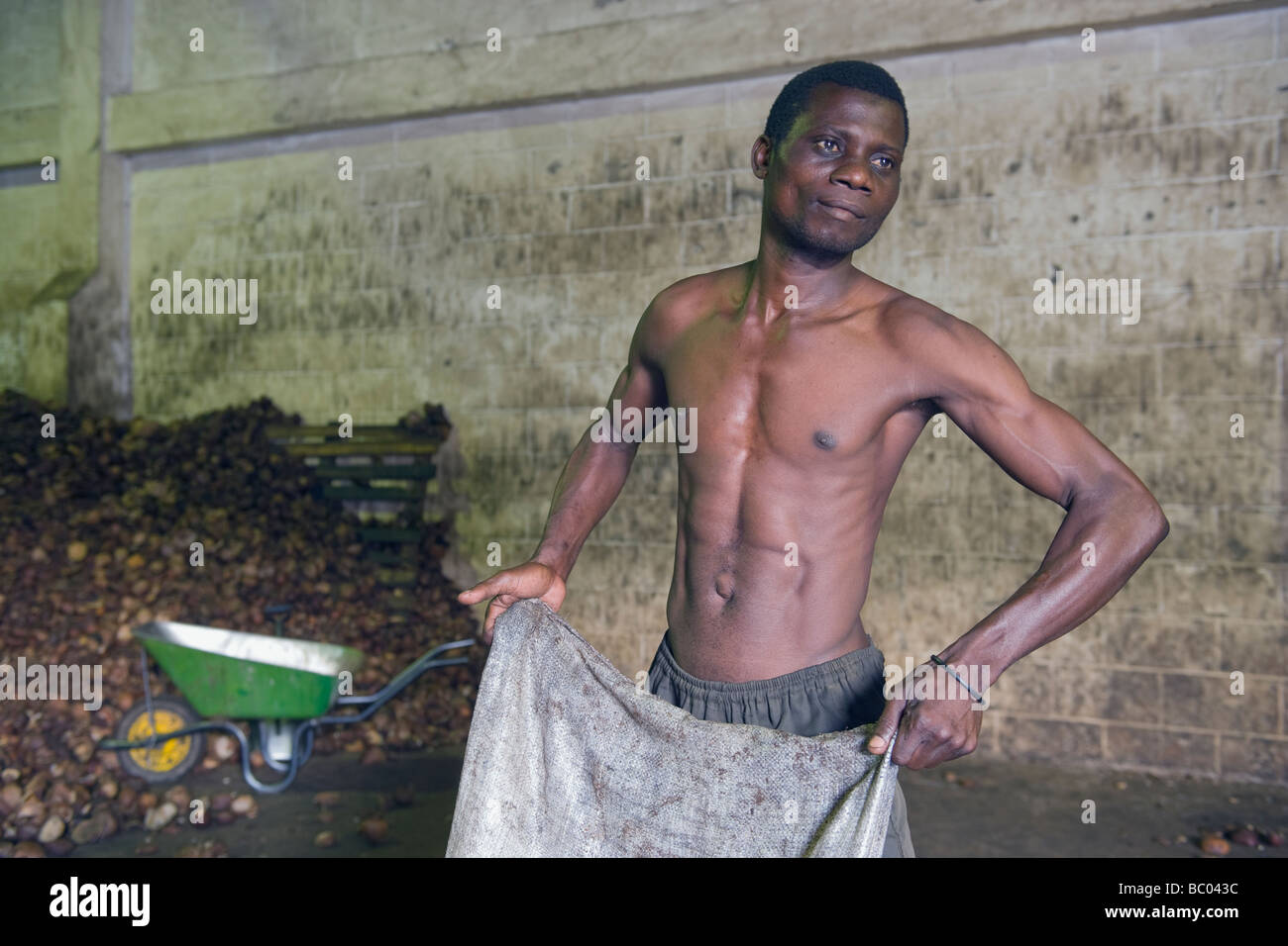 Caricamento del lavoratore copra nell'olio di noce di cocco macchina di elaborazione di Quelimane Mozambico Foto Stock