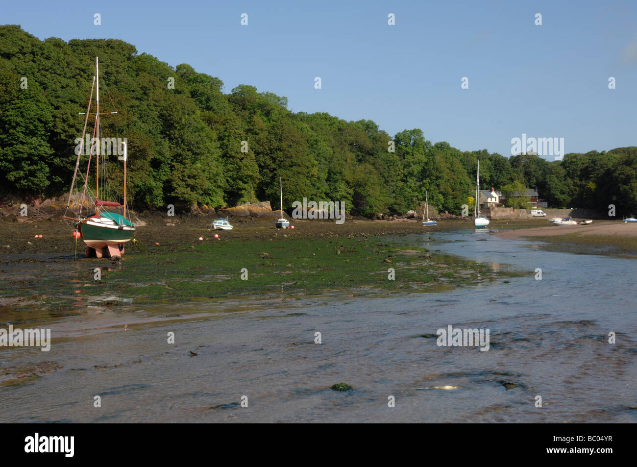 Paradiso di sabbia Milford Haven Pembrokeshire Wales UK Europa Foto Stock