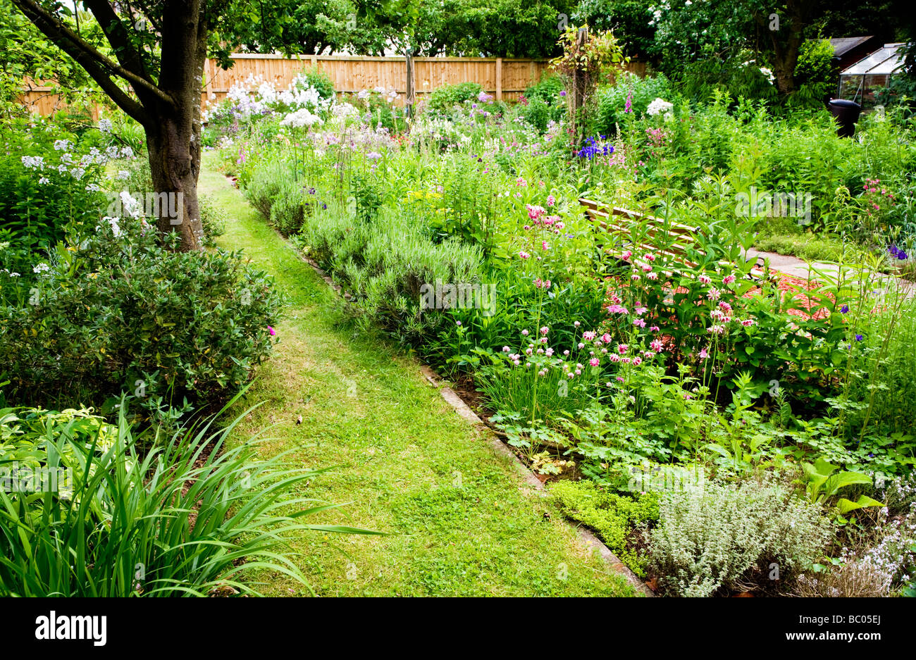 Tarda primavera aiuole di fiori in un suburban giardino inglese Foto Stock