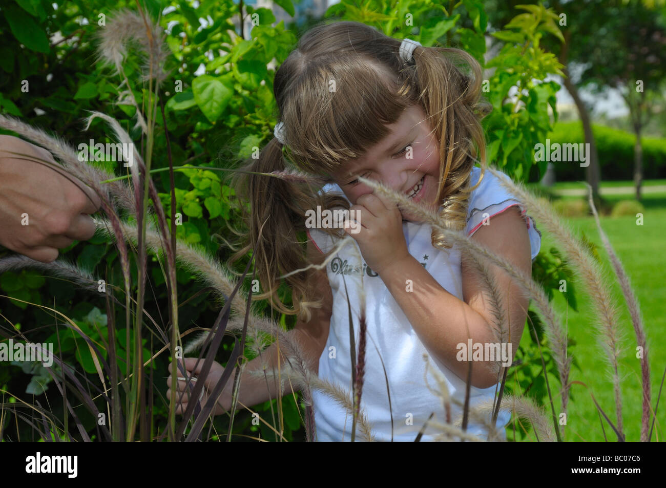 Solletica Foto Stock