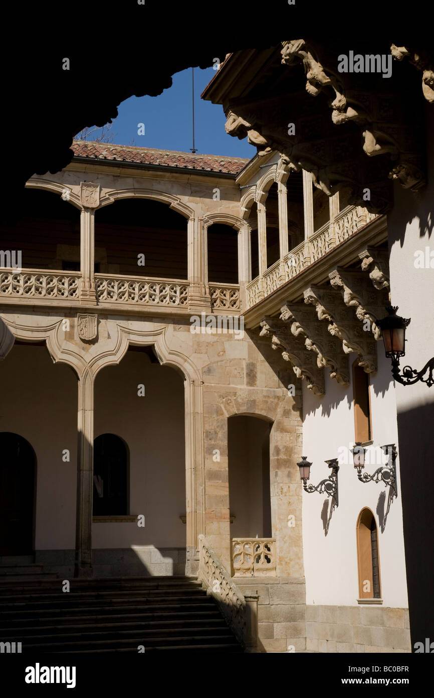 Palacio de La Salina Palace, Salamanca Castiglia e Leon, Spagna Foto Stock