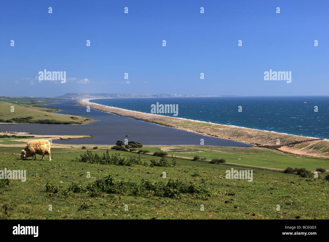 Vista di Chesil Beach da Abbotsbury giardini tropicali, Dorset, Inghilterra Foto Stock