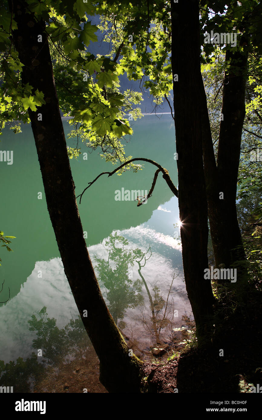La riflessione di albero e la montagna nel lago alpino Foto Stock
