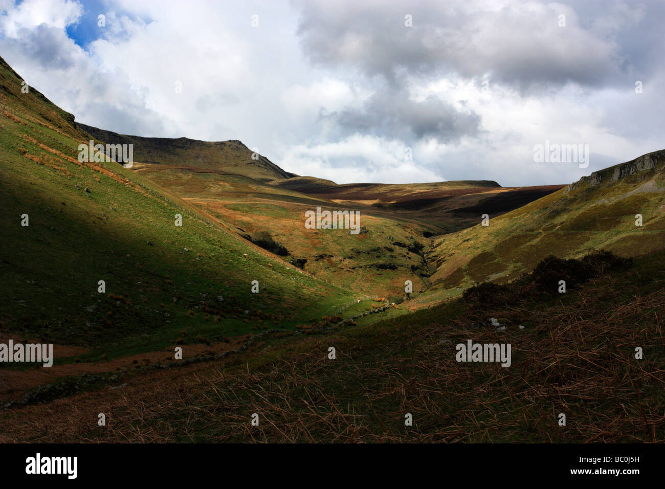 Una vista fino a Cadair Berwyn, il punto più alto della gamma Berwyns nel Galles del nord Foto Stock