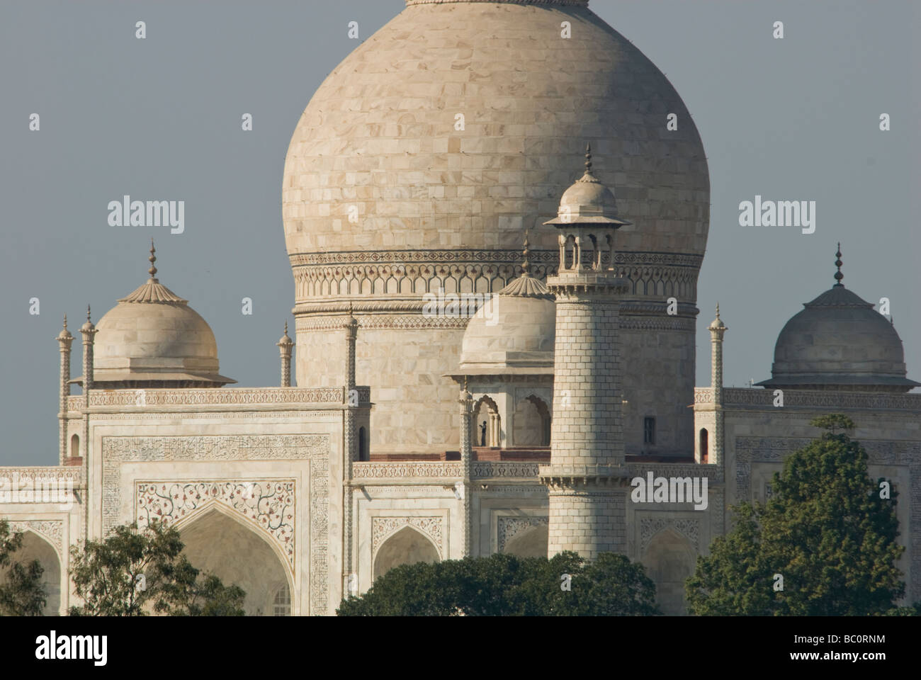 Taj Mahal,Agra,Uttar Pradesh, India Foto Stock