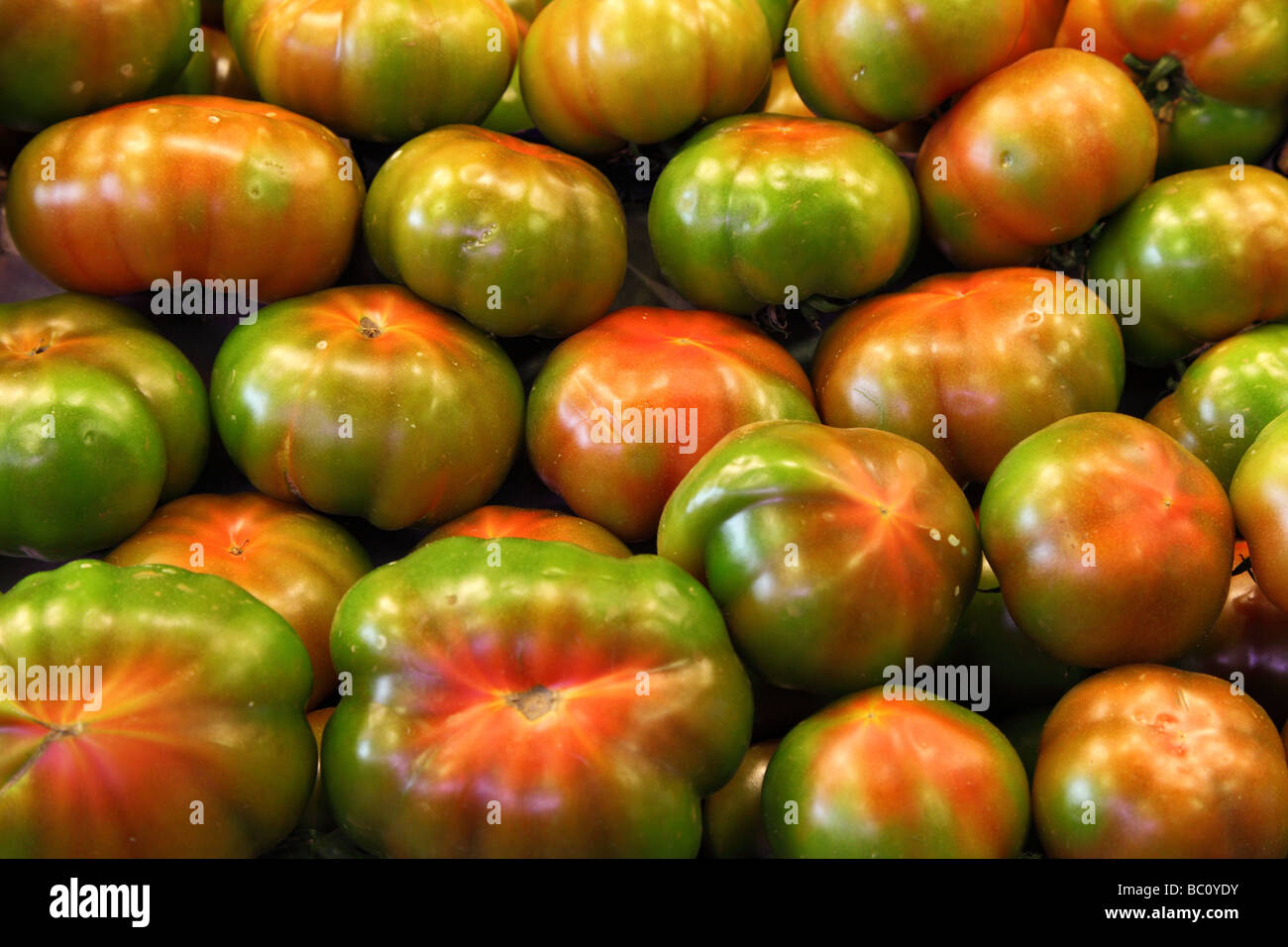 Pomodori organici esposti per la vendita La Boqueria barcellona catalogna Spagna Foto Stock
