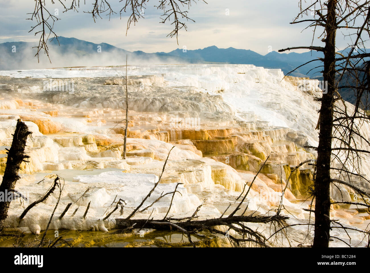 Vista panoramica di Mammoth Hot Springs nel Parco Nazionale di Yellowstone Foto Stock