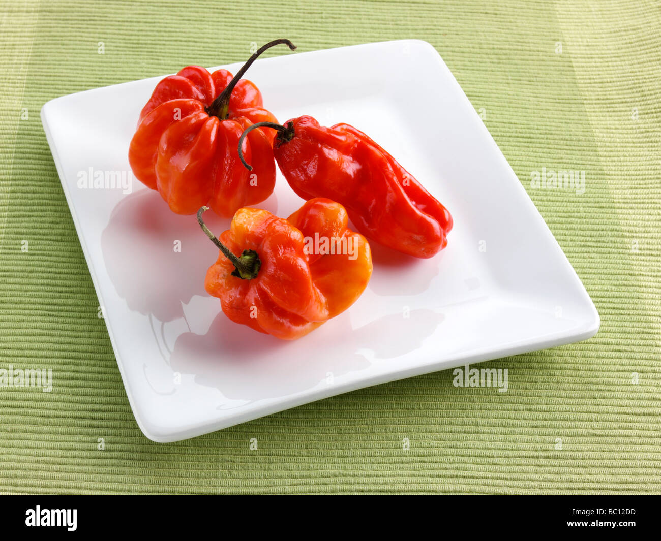 Scotch Bonnet peperoni Foto Stock
