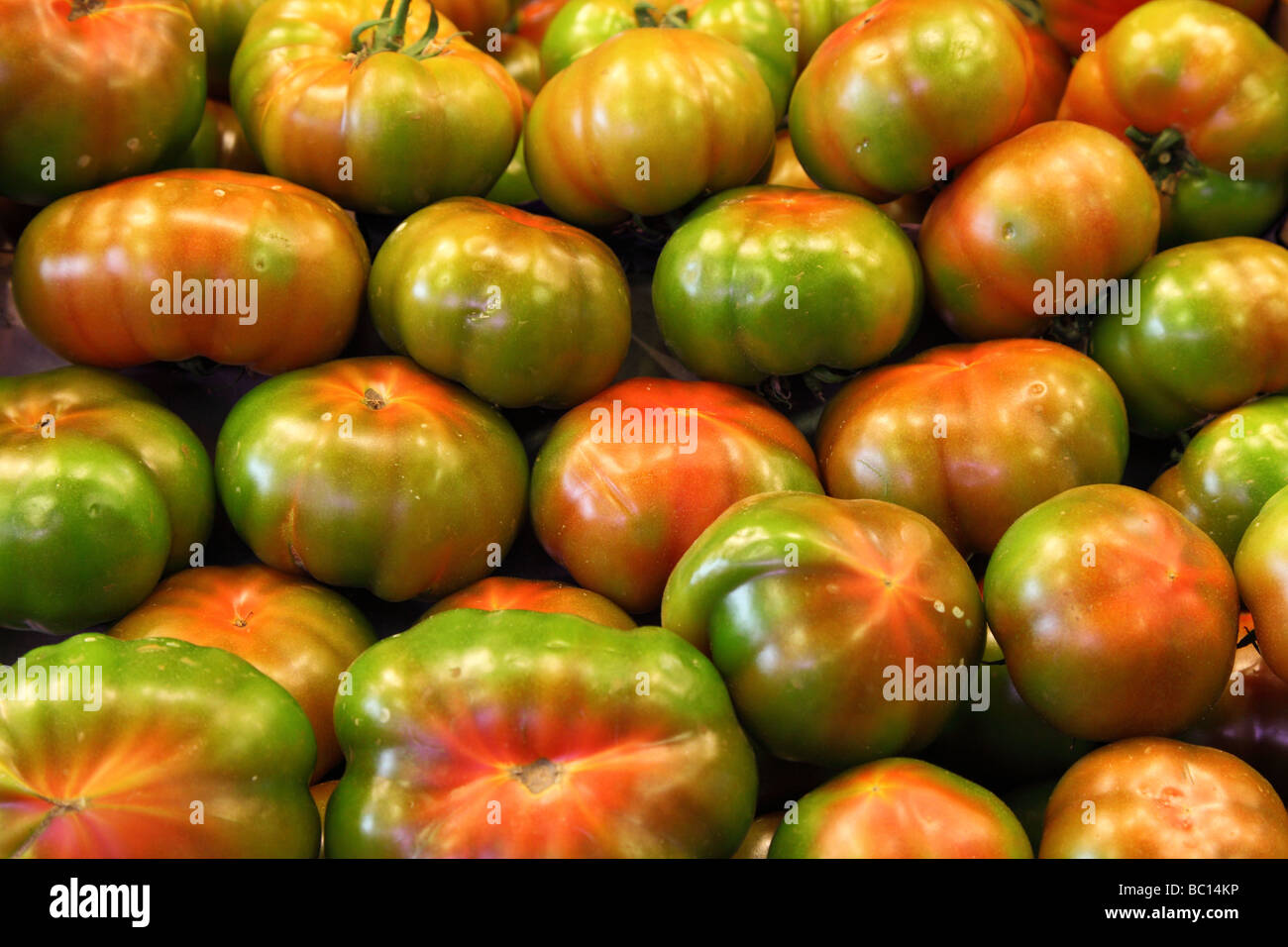 Pomodori organici esposti per la vendita La Boqueria barcellona catalogna Spagna Foto Stock