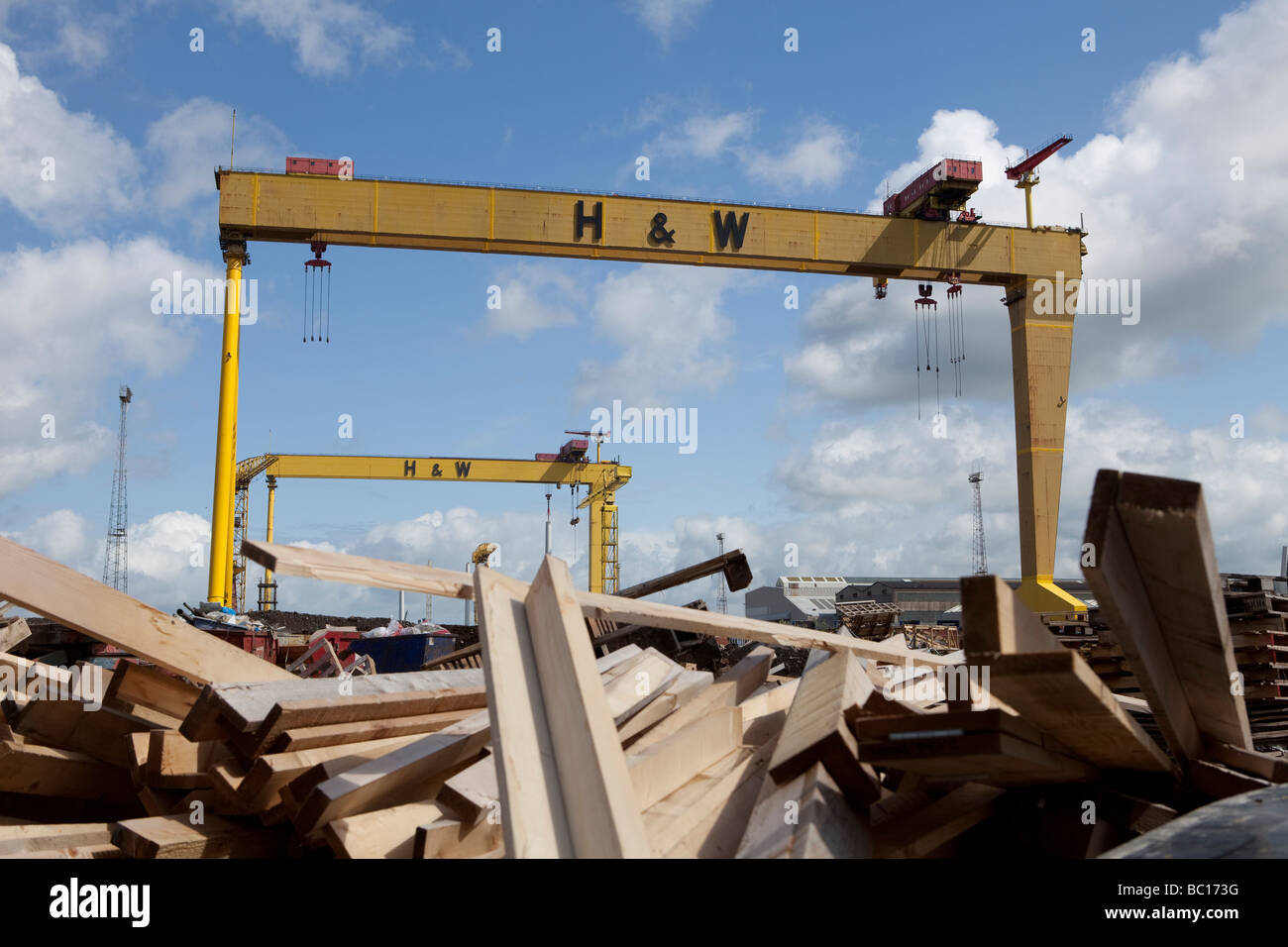 Sansone e Golia in Harland Wolff Shipyard, Queen's Island, Belfast, Irlanda del Nord, Regno Unito Foto Stock