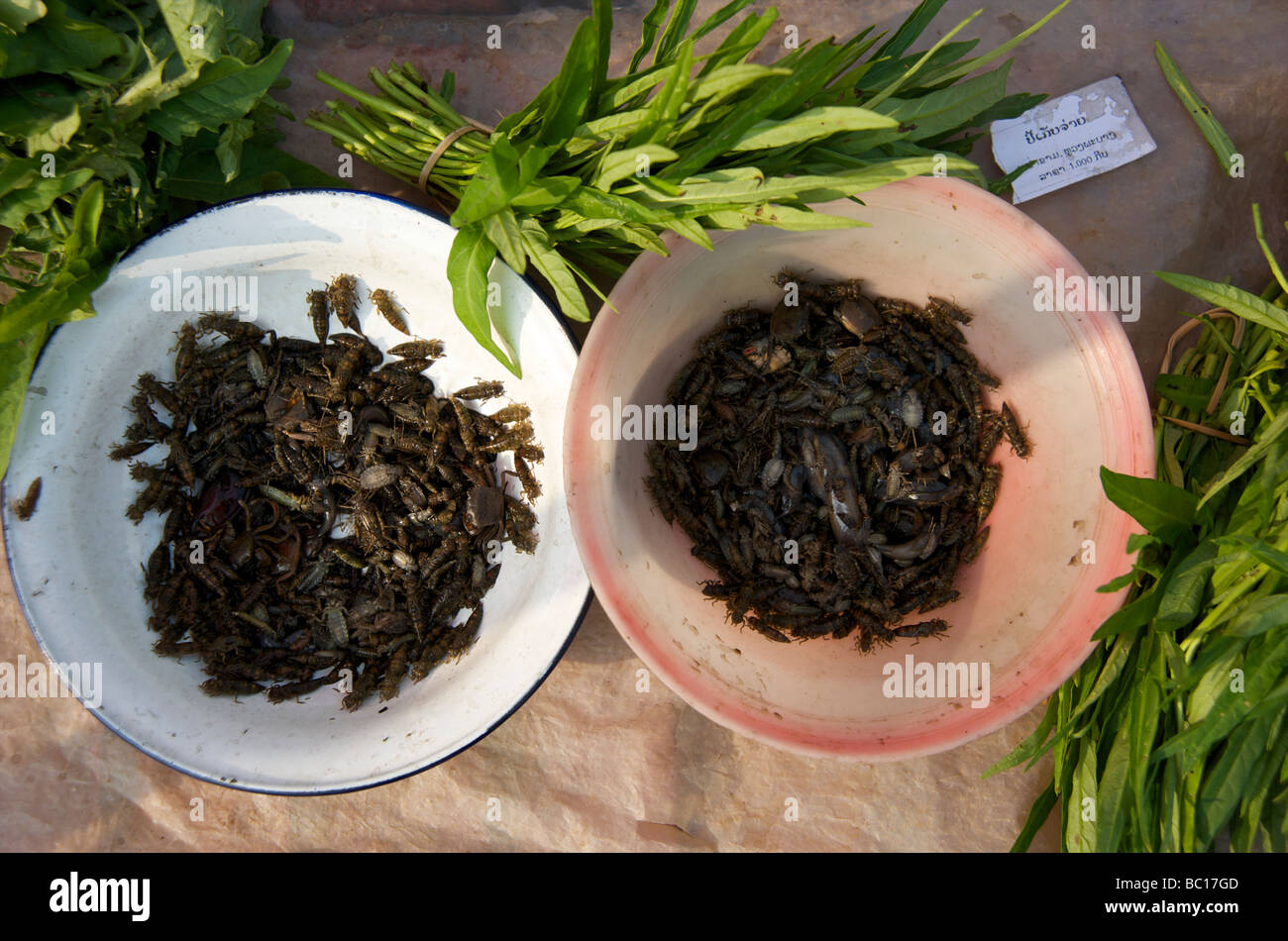 Due ciotole di larve di fiume circondato dalla gloria di mattina a Luang Prabang, Laos di mercato Foto Stock