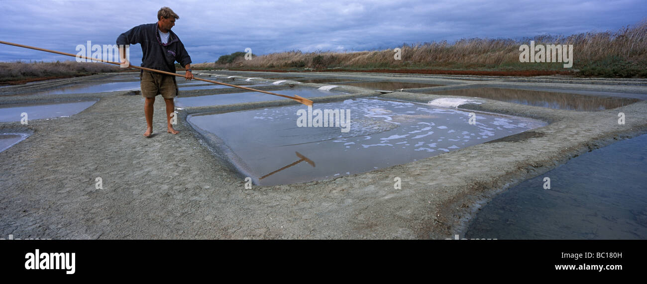 Francia, Charente Maritime, Ile de Re, Loix en Ri, il Fier d Ars, sale la raccolta in una palude salata Foto Stock