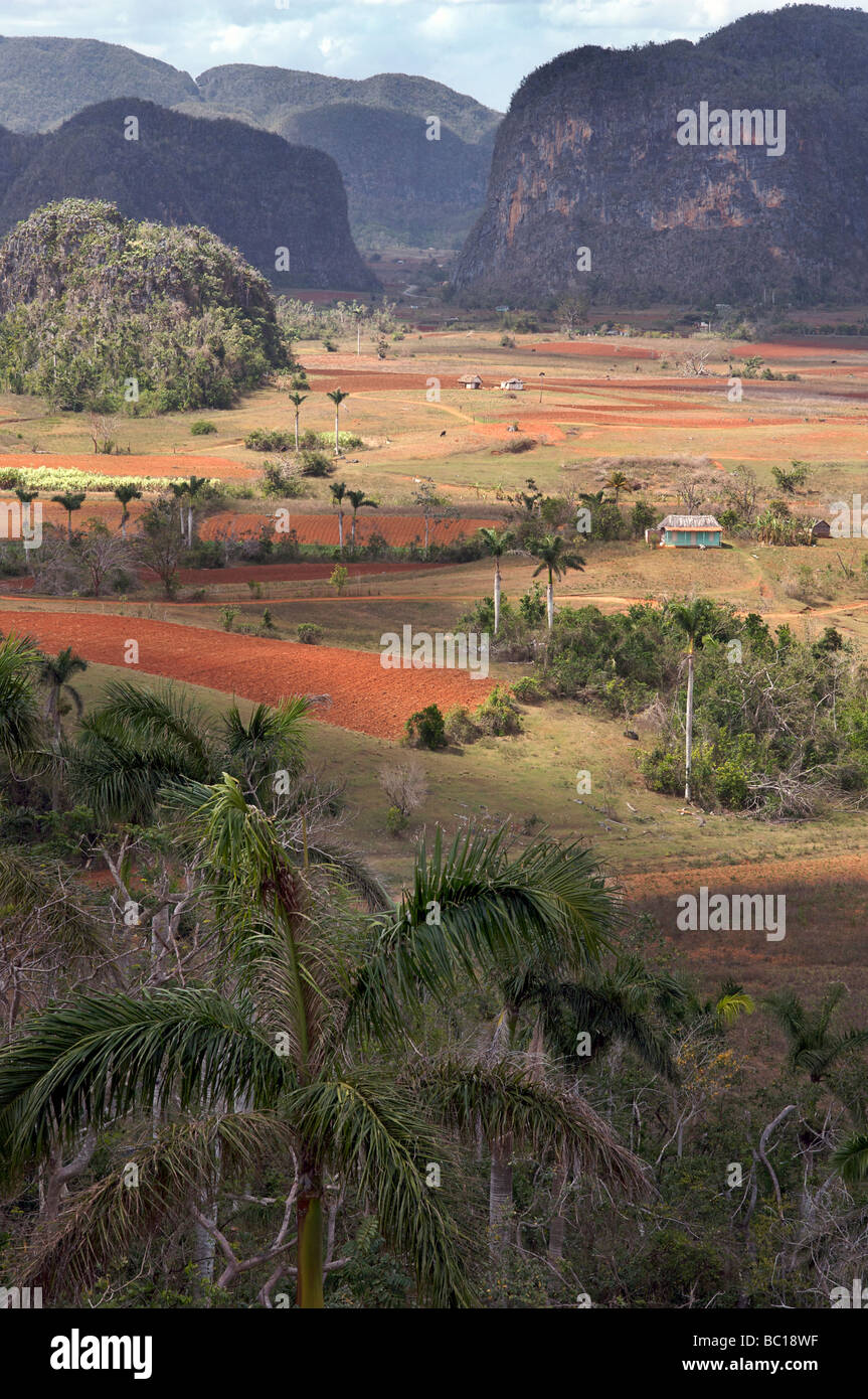 Vista attraverso la landscpae della valle di Viñales, Pinar del Rio Provincia, Cuba Foto Stock