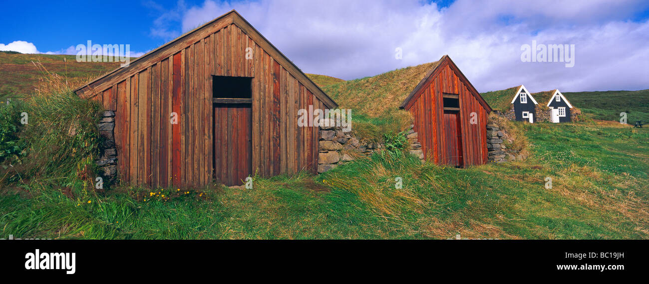 L'Islanda, Nupsstadur, fattorie tradizionali con tetto di erba Foto Stock