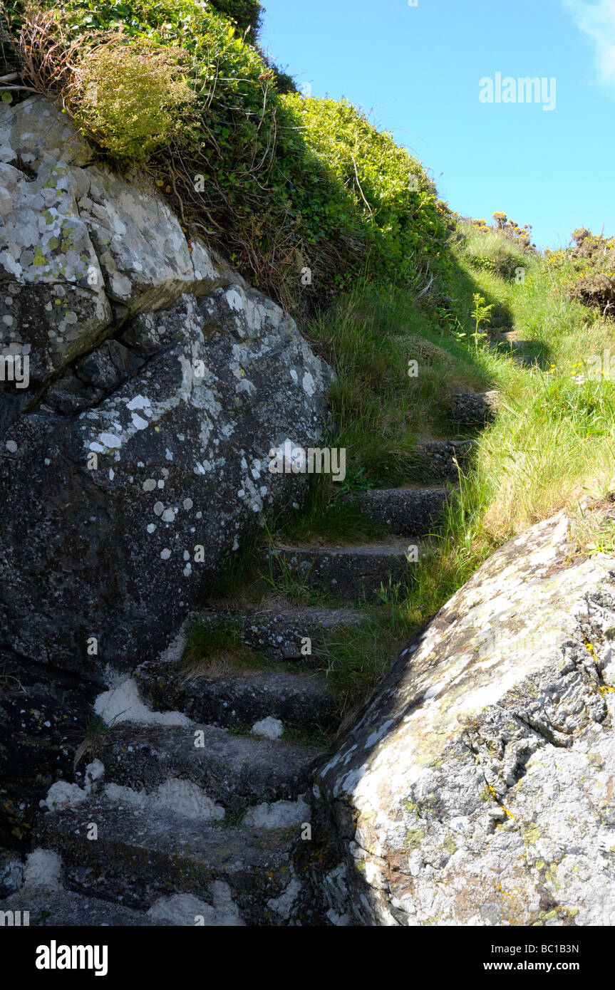 Passi in rocce a Porth Clais Porto. Foto Stock