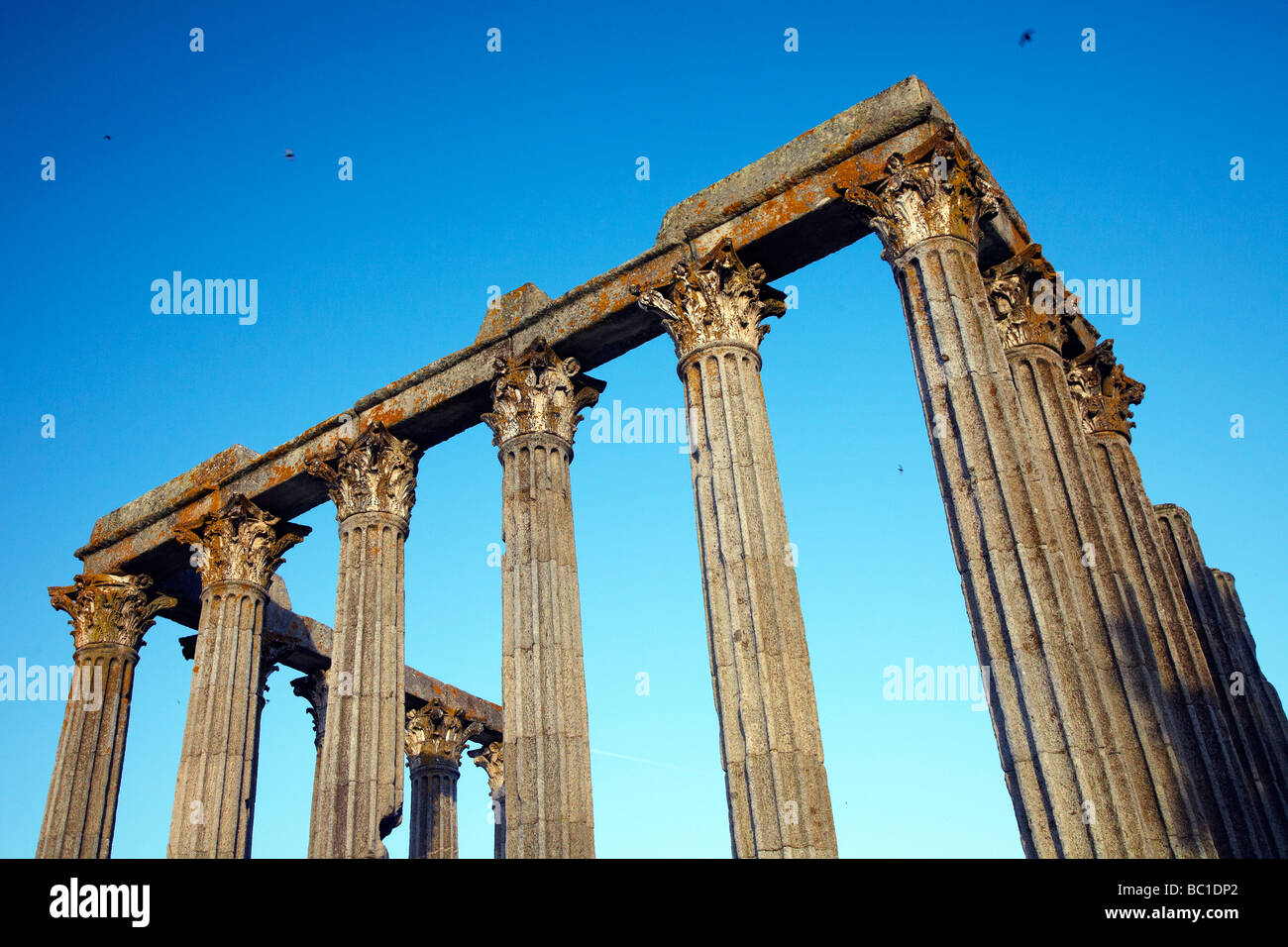 Tempio romano rovine, Evora, Portogallo Foto Stock