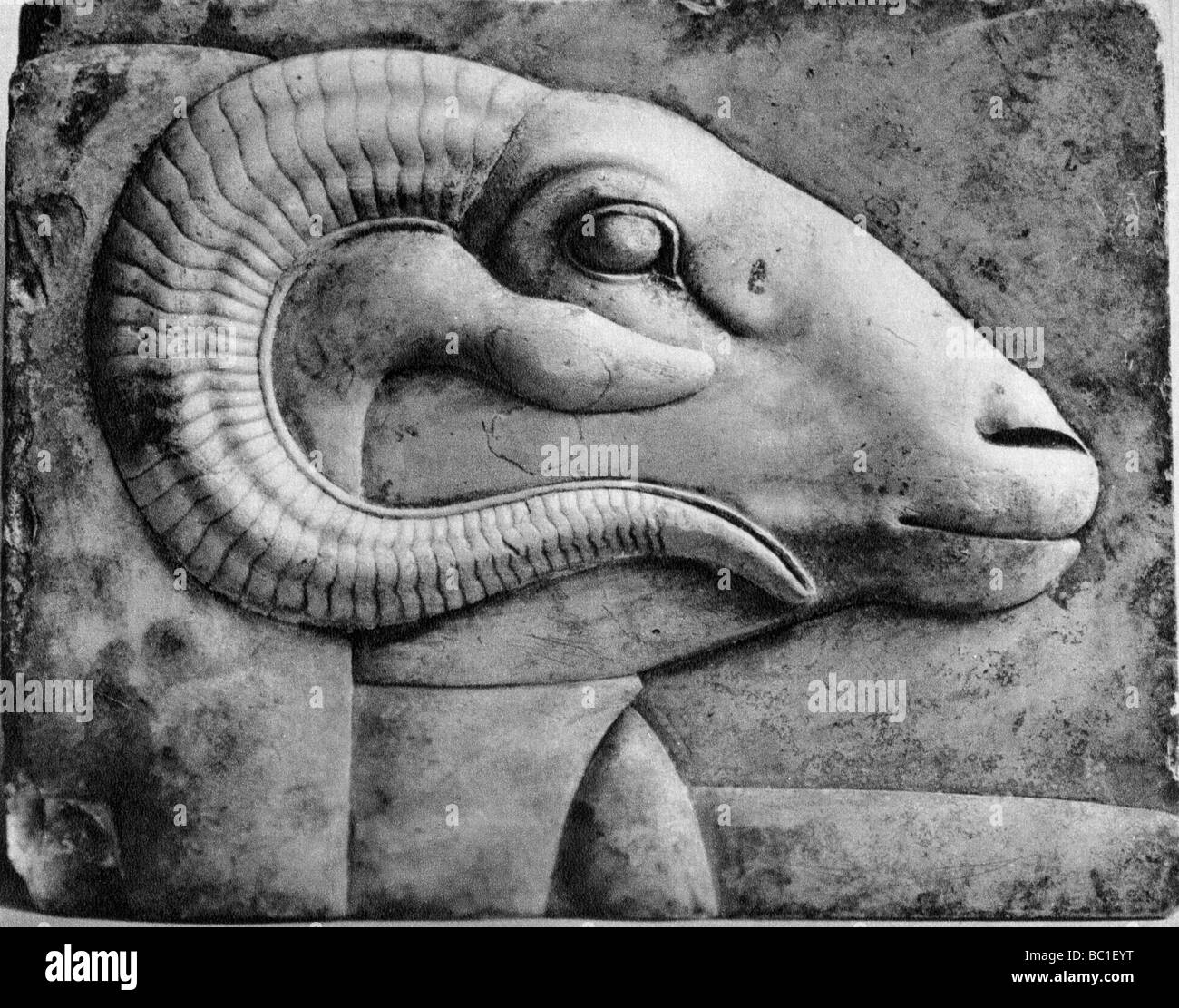 Una ram di testa, Egitto, 1936. Artista: sconosciuto Foto Stock