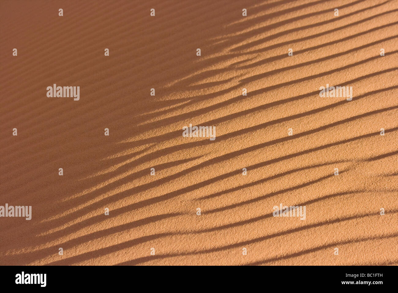 Sabbie mobili su una duna a Wadi Rum in Giordania Foto Stock