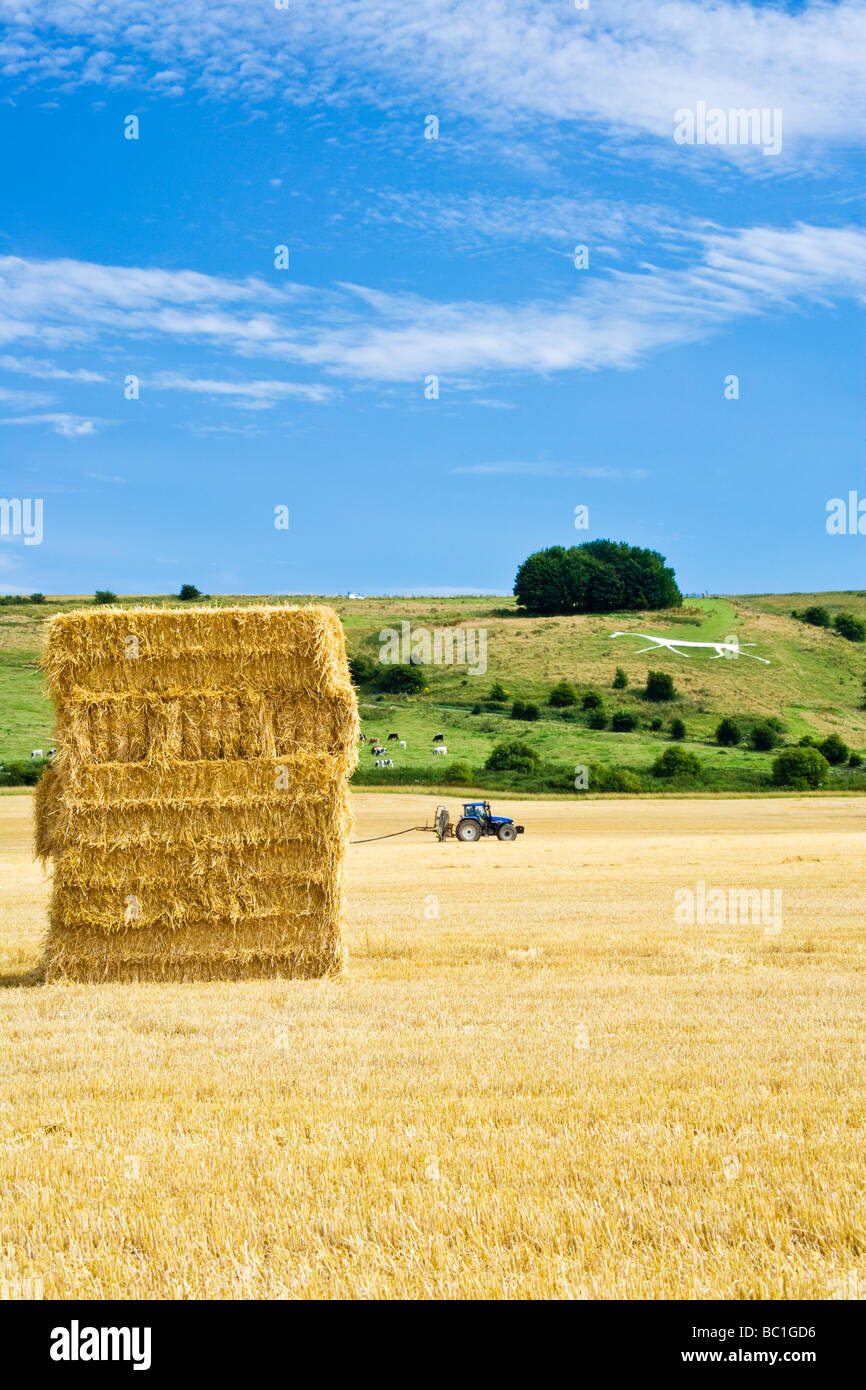 Vista su campo di grano e Hackpen Hill Cavallo Bianco nel Wiltshire, Inghilterra REGNO UNITO Foto Stock