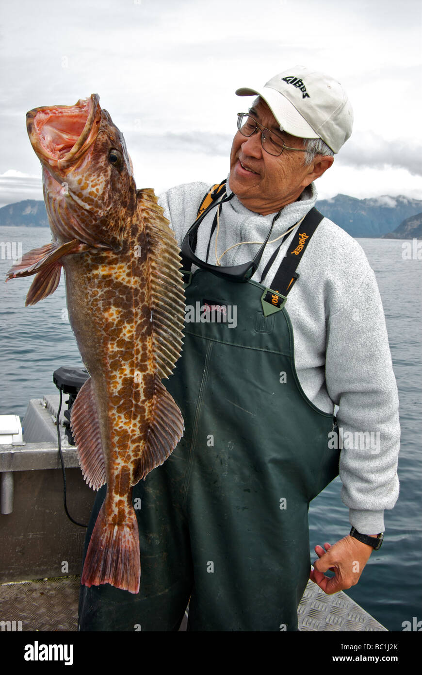 Asian pescatore holding e ammirando la feroce sharp fanged ling cod Ophiodon elongatus con la sua toothsome maw schiusi aperto Foto Stock