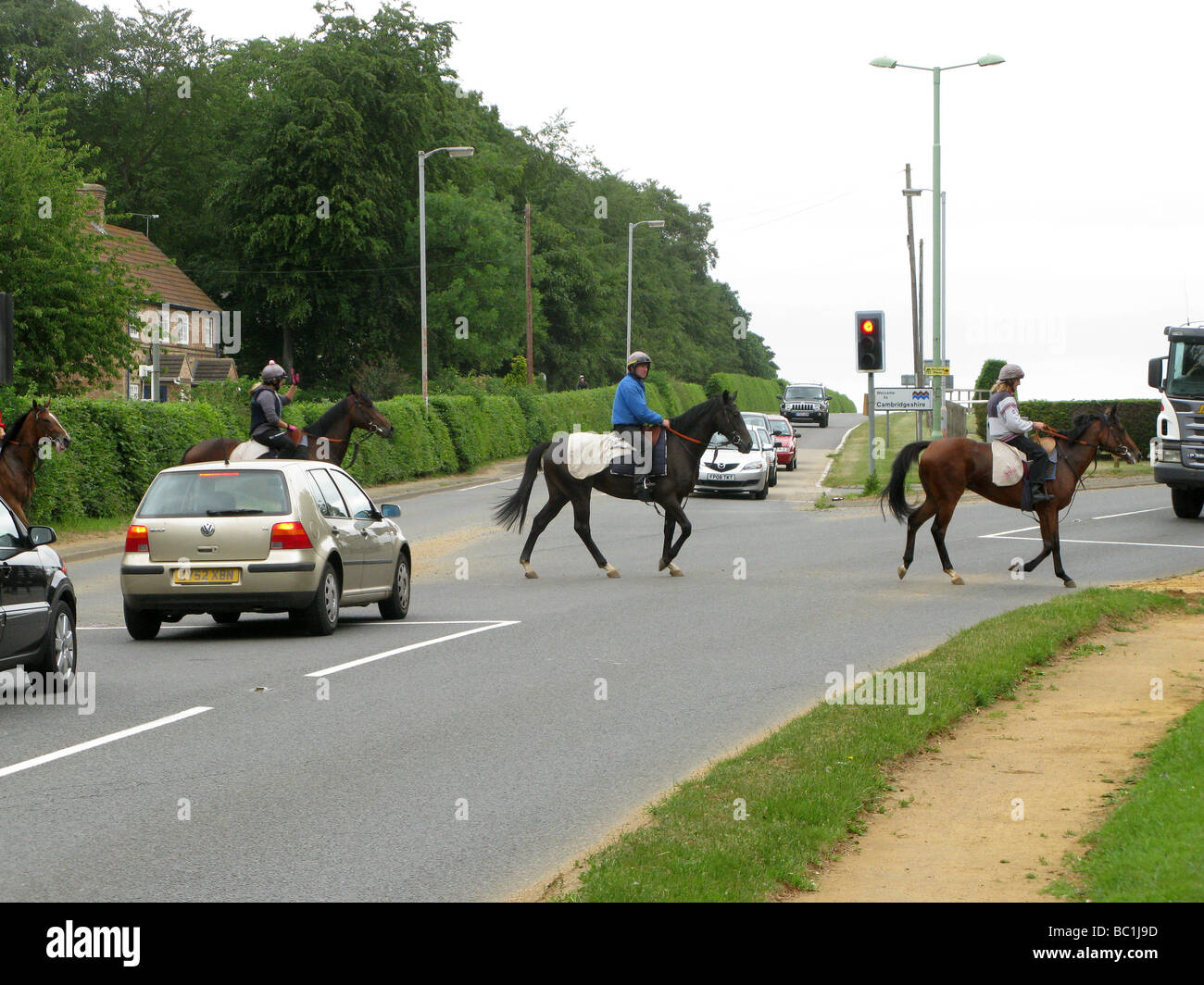Tutto si ferma per i cavalli in Newmarket, sede dell'Horse Racing Industry di Inghilterra Foto Stock