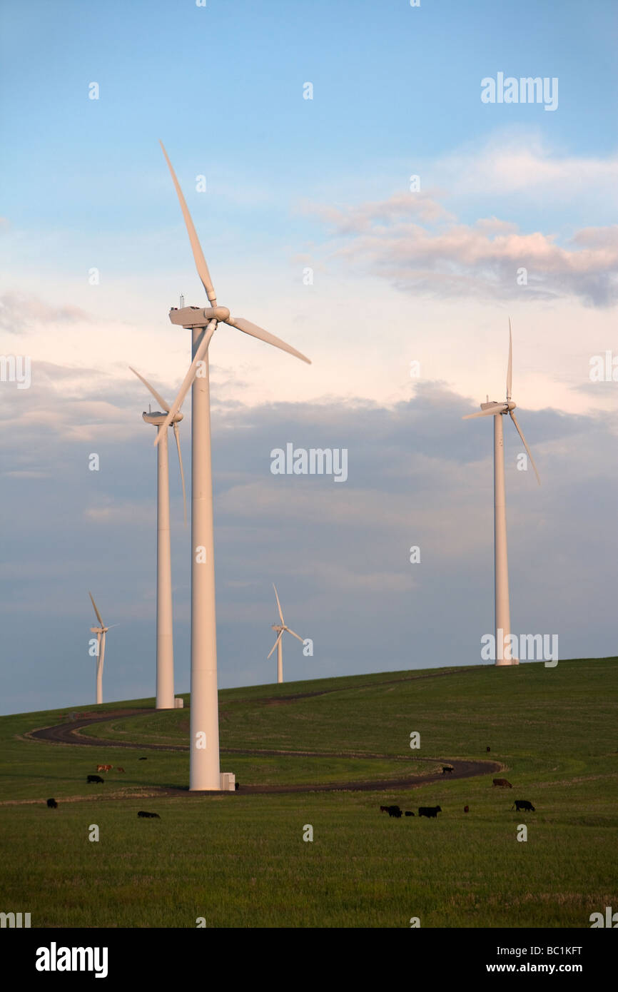 energia eolica Foto Stock