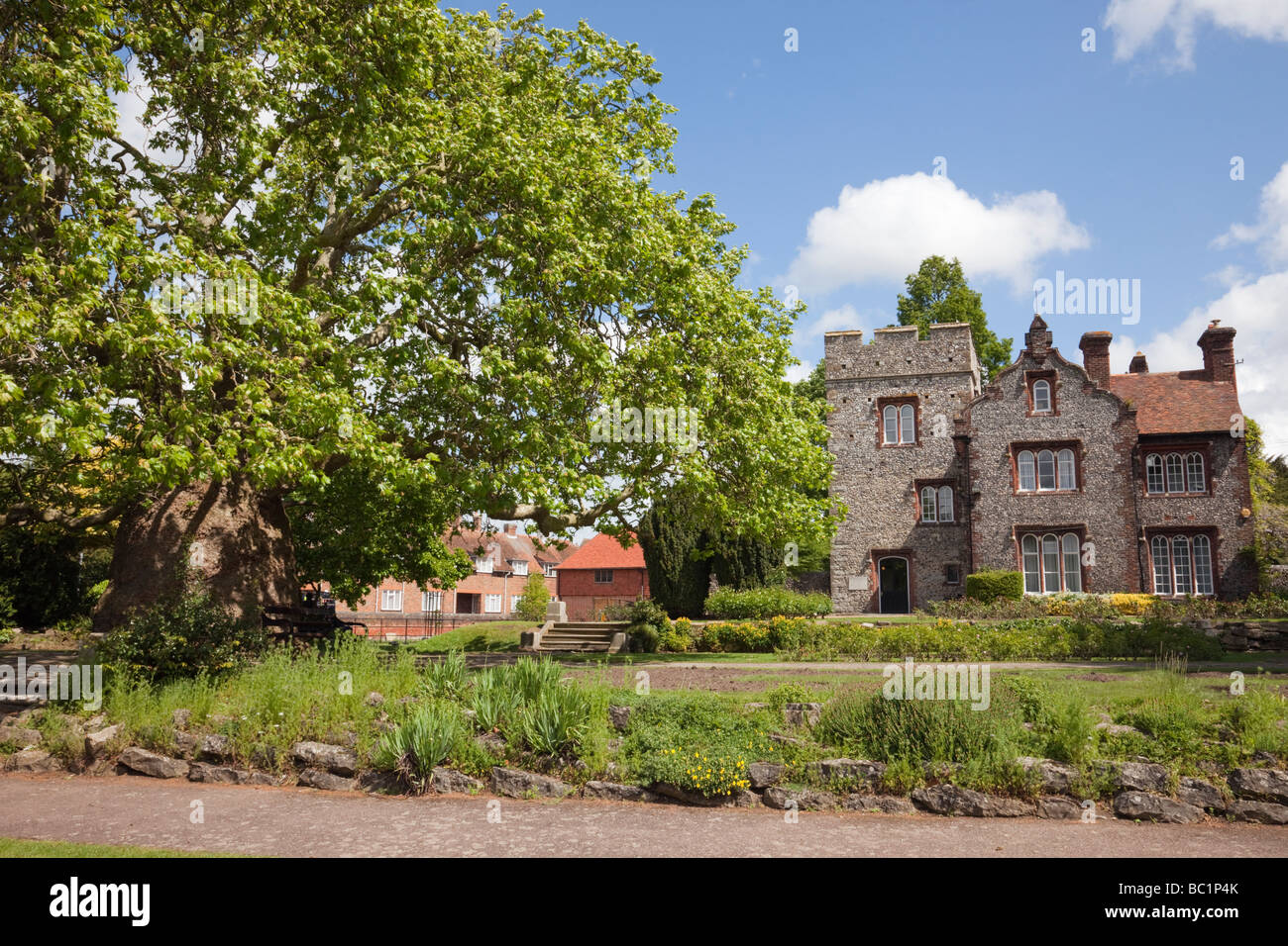 Canterbury Kent England Regno Unito. Casa Torre e piano orientale Platanus orientali di albero in Westgate Gardens Foto Stock