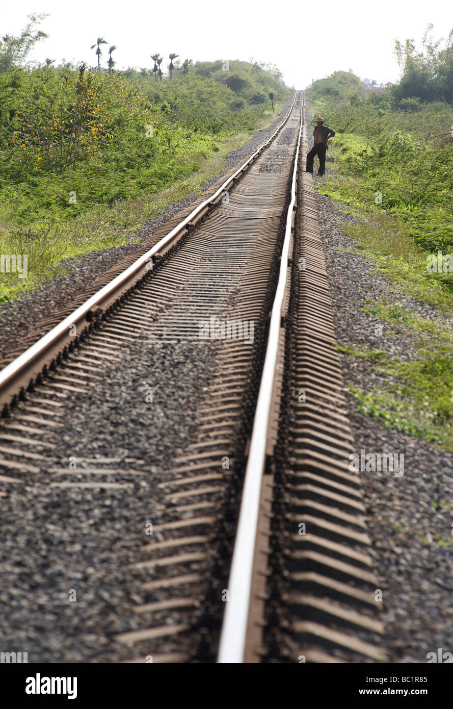 Cubano tracce ferroviarie convergenti sull'orizzonte, Cuba Foto Stock