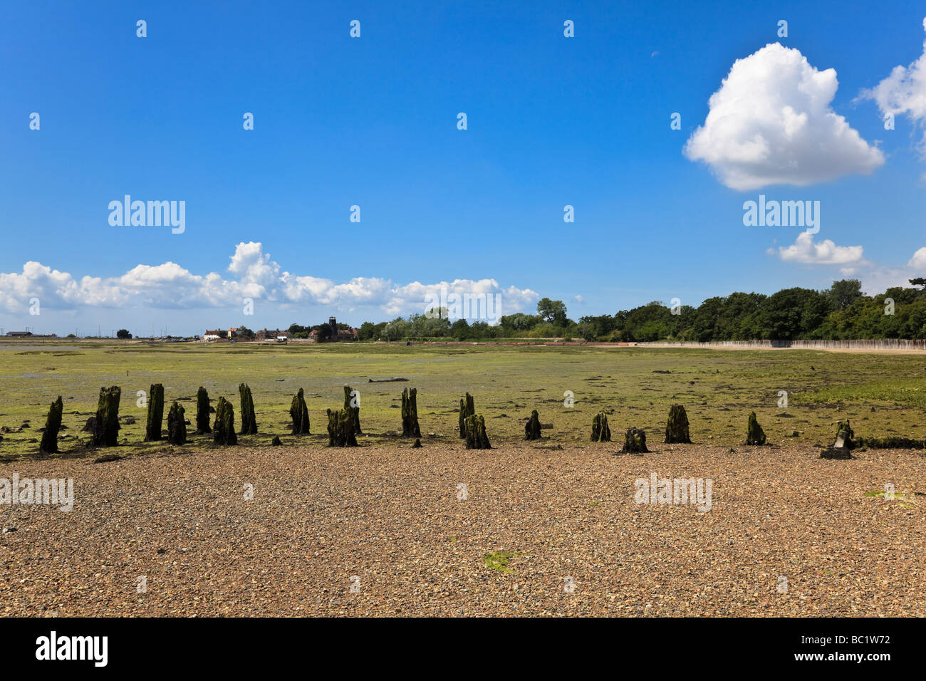 Mezzo sepolto marciume legni a bassa marea a Chichester porto vicino Langstone sul Solent modo sentiero Hampshire REGNO UNITO Foto Stock