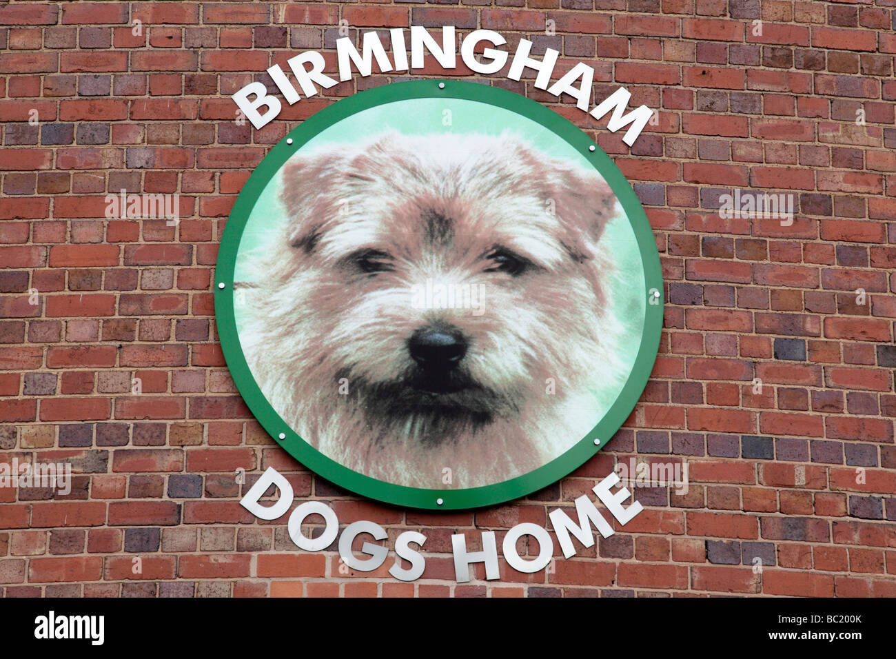 Facciata di Birmingham cani home nuovo Bartolomeo street digbeth Birmingham Regno Unito Foto Stock