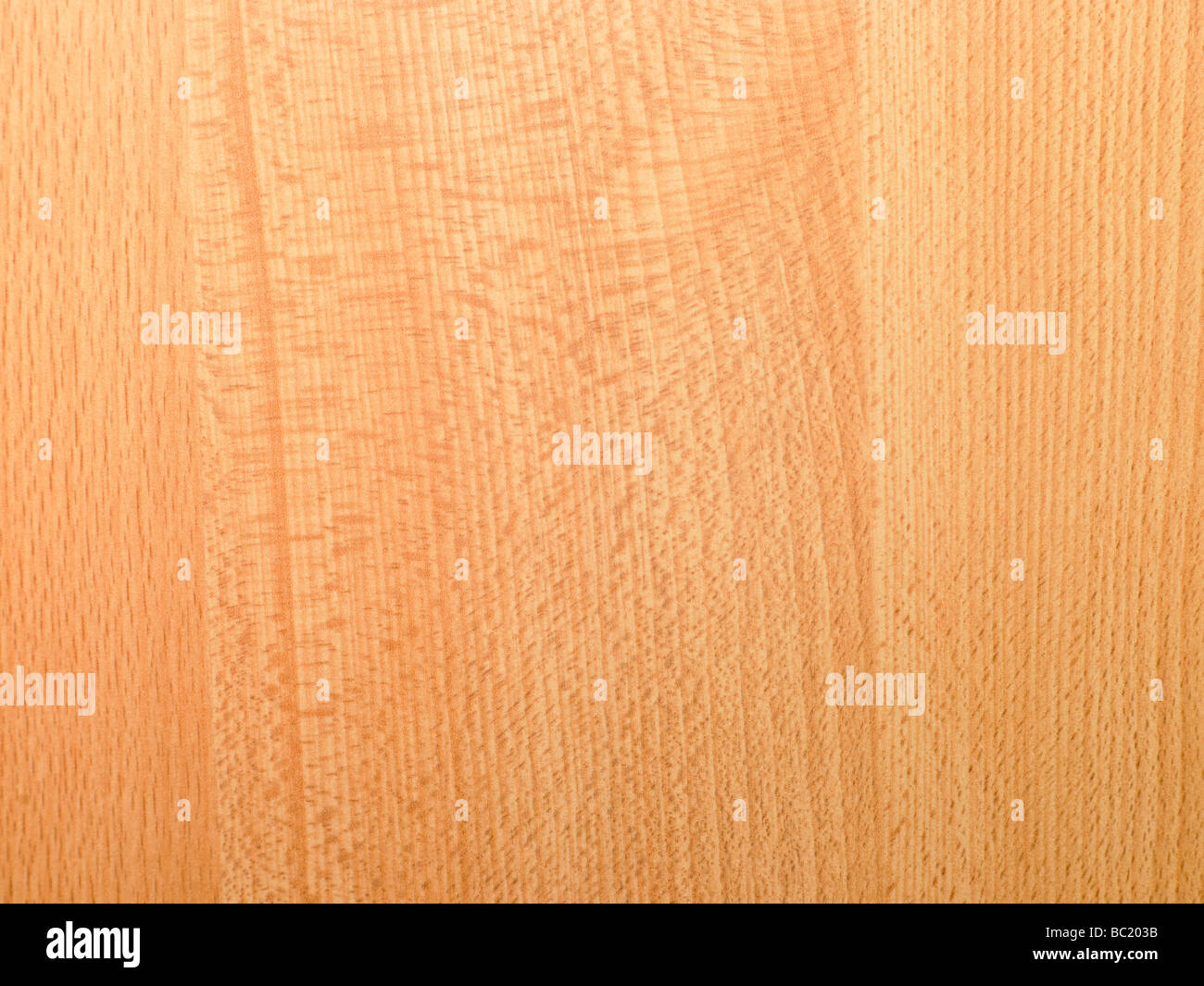 Il legno chiaro sfondo di impiallacciatura Foto Stock