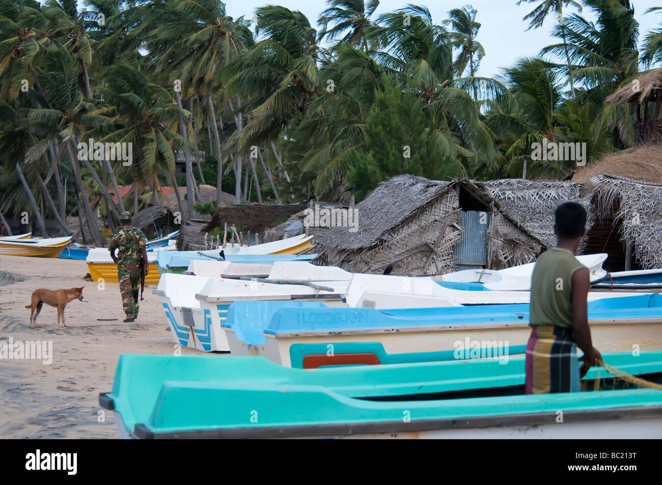 Arugam Bay Sri Lanka fisherman lavorando sulla spiaggia soldato armato camminando accanto a barche di palme di capanne di pescatori cabanas cane Foto Stock