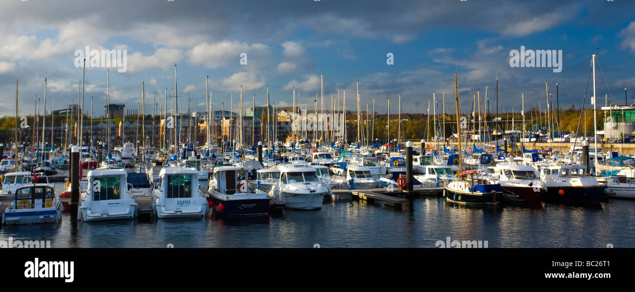 Inghilterra Tyne usura Royal Quays il Edward Albert Dock presso il Royal Quays Marina in North Tyneside Foto Stock