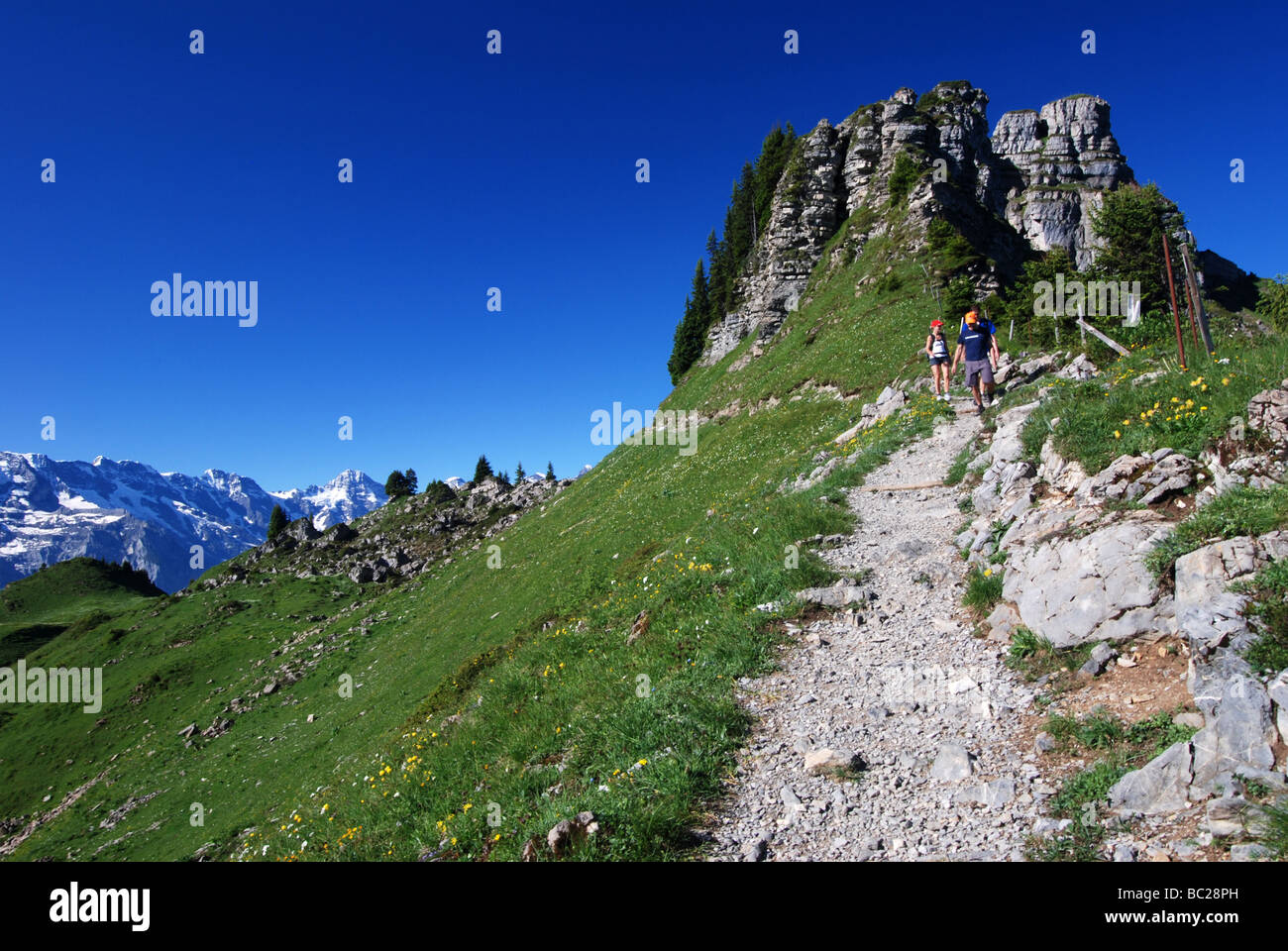 Gli escursionisti trekking sul sentiero lungo il crinale a Schynige Platte alpi Bernesi svizzera Foto Stock