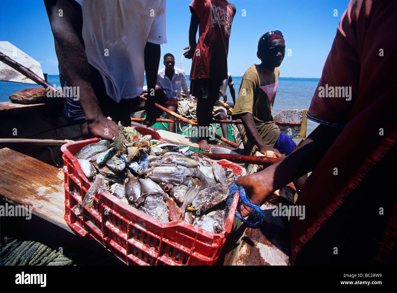 Pescatore di cattura di scarico da gill netting Inhassoro in Mozambico Foto Stock