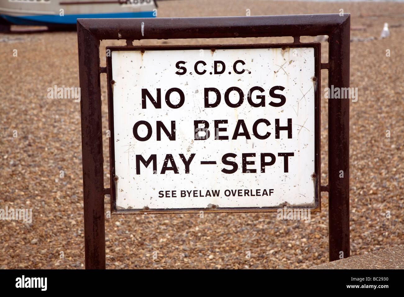 No cani sulla spiaggia segno Foto Stock