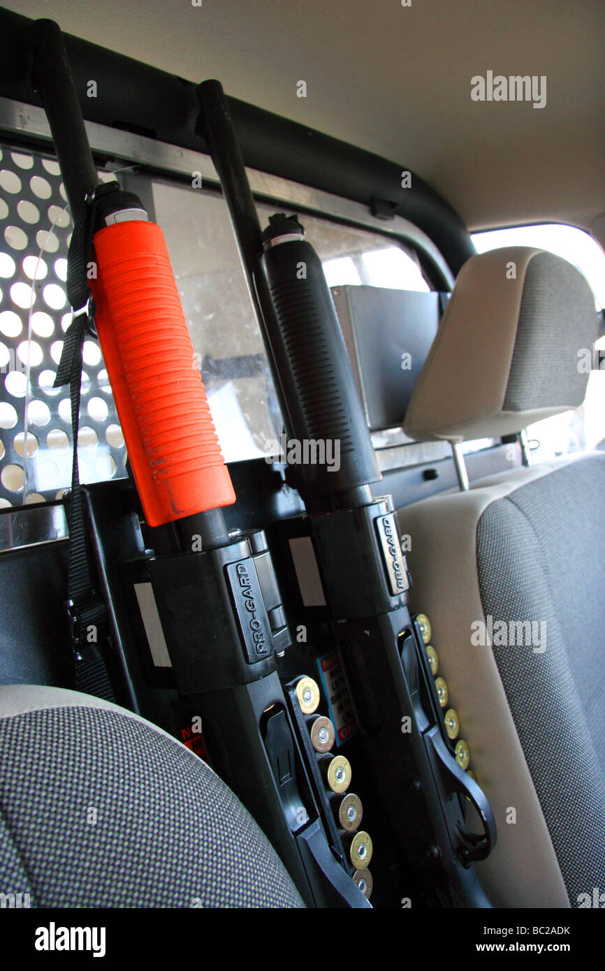 Fucili a canna liscia bloccato nella parte anteriore di un American automobile della polizia Foto Stock Fucili a canna liscia bloccato nella parte anteriore di un American automobile della polizia Foto Stock