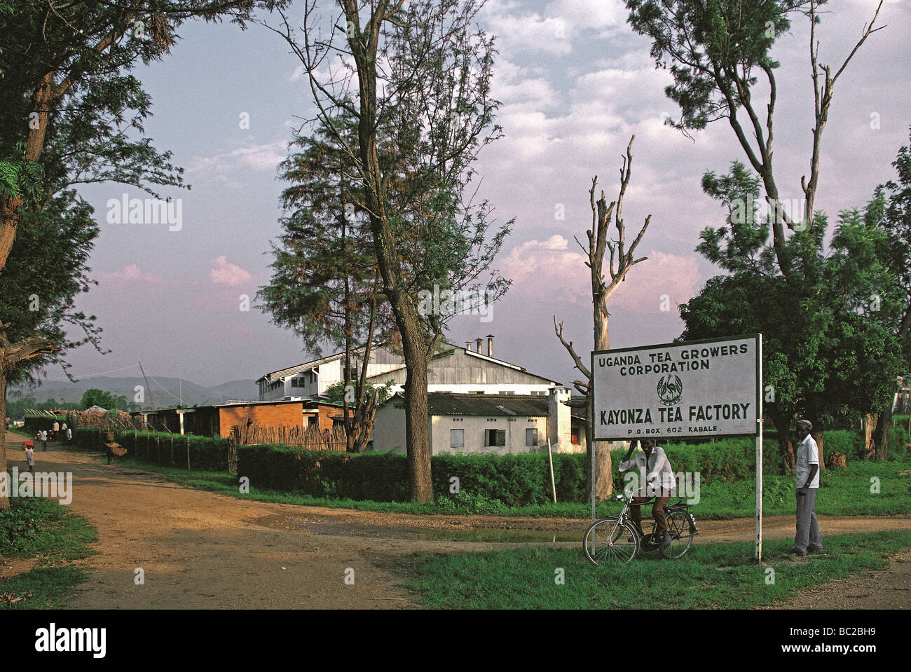 Kayonza fabbrica di tè vicino Kabala sud ovest dell Uganda con segno in primo piano la lettura UGANDA coltivatori di tè CORPORATION KAYONZO Foto Stock